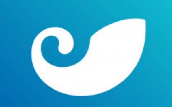 v-token下载app
